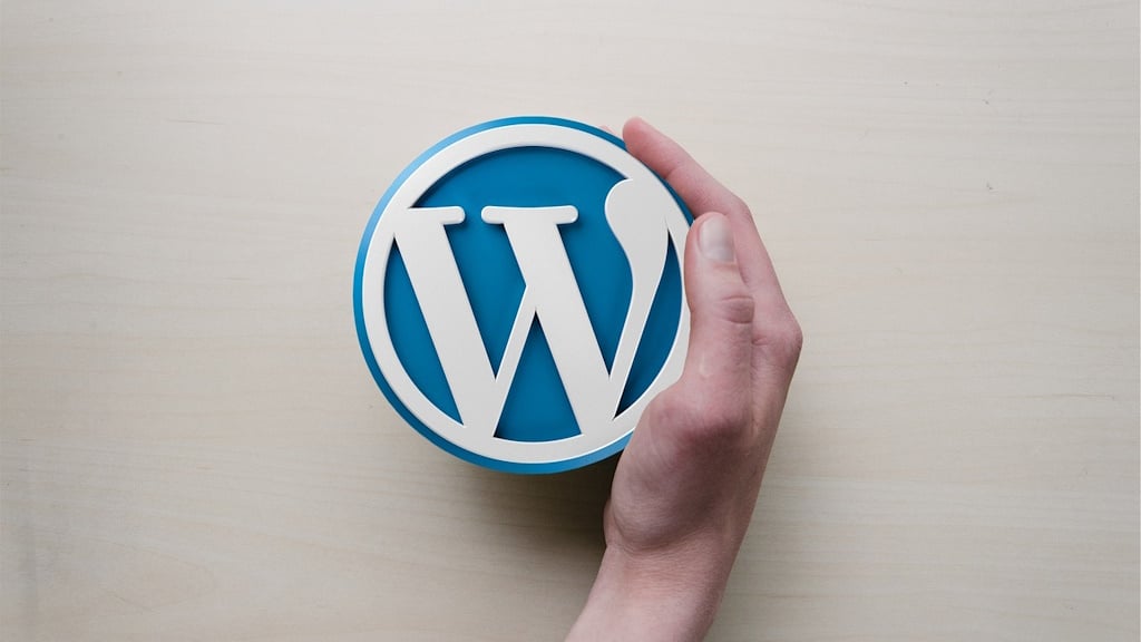 Erfolgreiche Projekte mit WordPress Warum ein Freelancer die bessere Wahl sein kann_TB